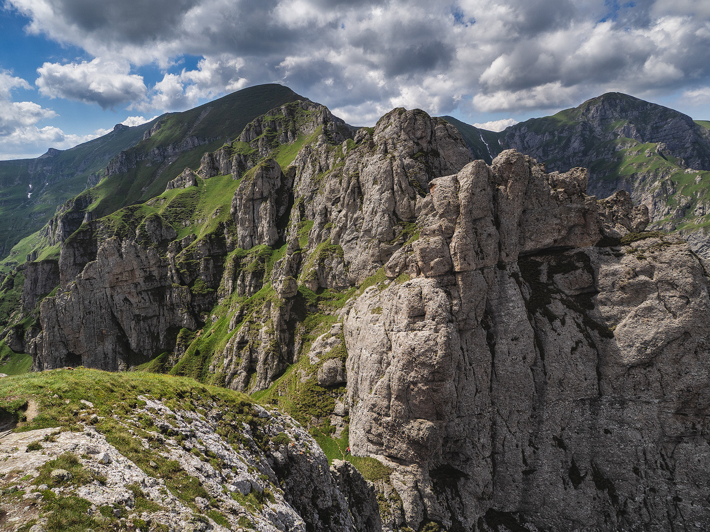 acele morarului bucegi