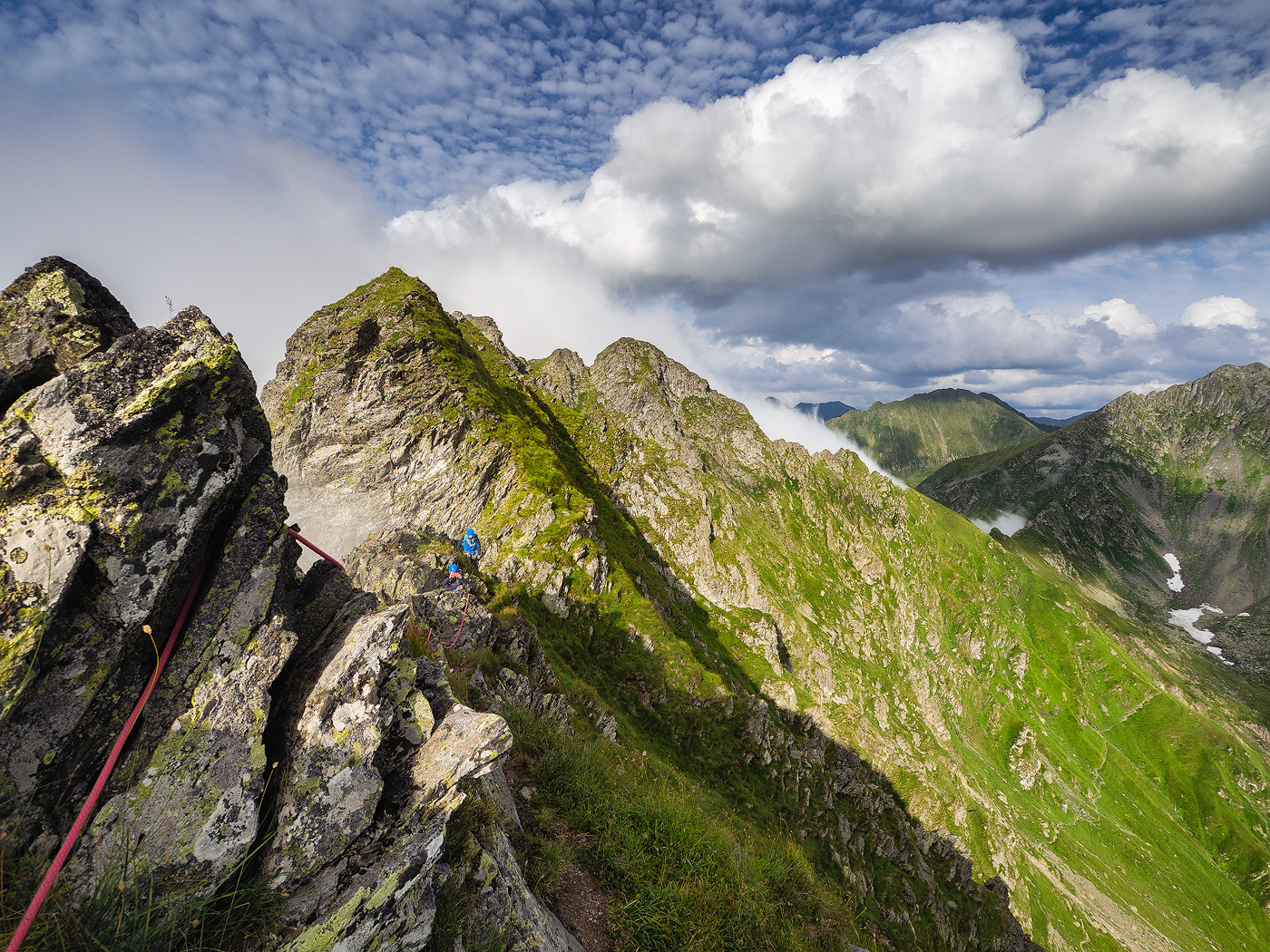 creasta vartopel-arpasel