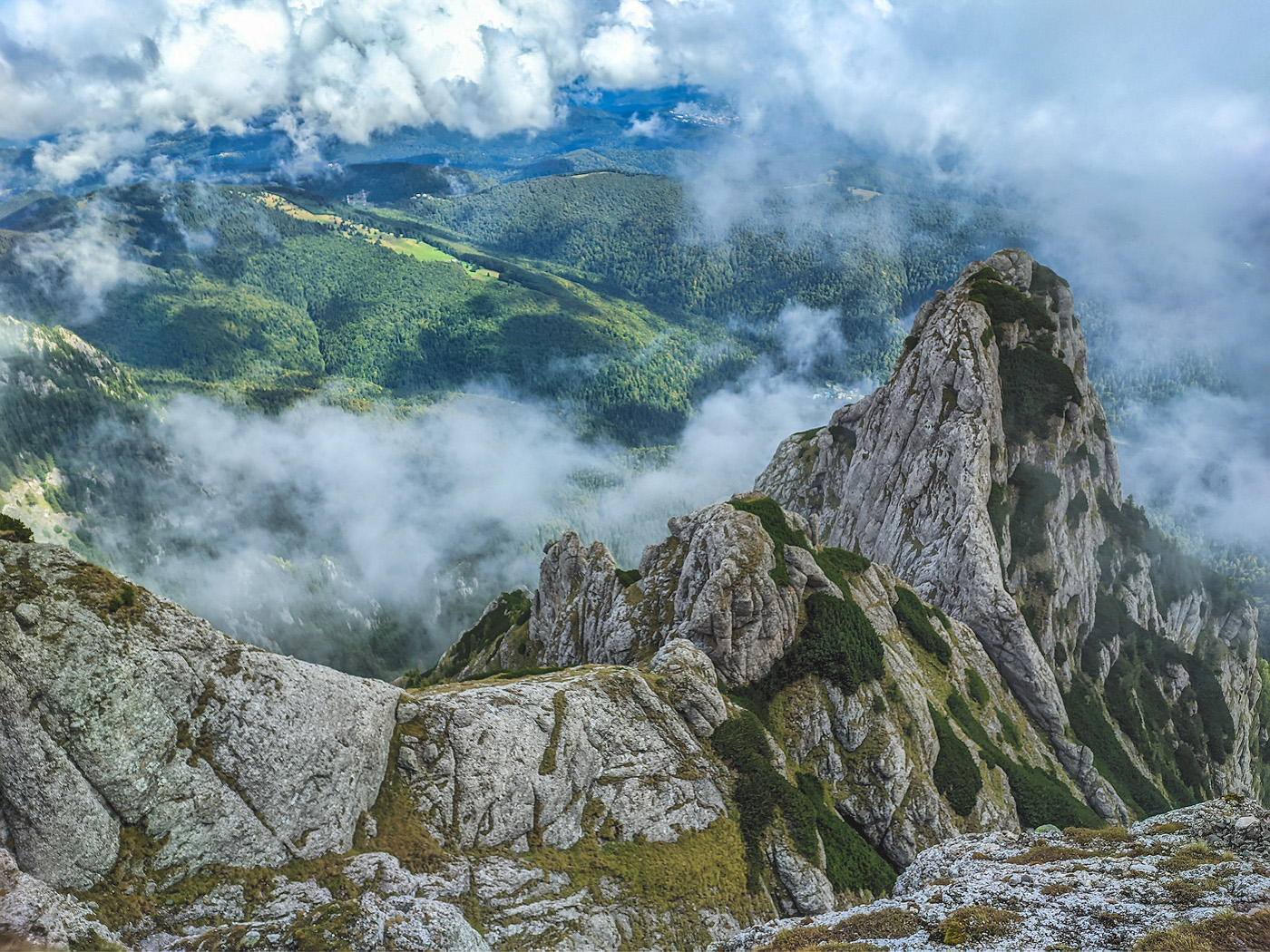 traseul coman umarul galbinele