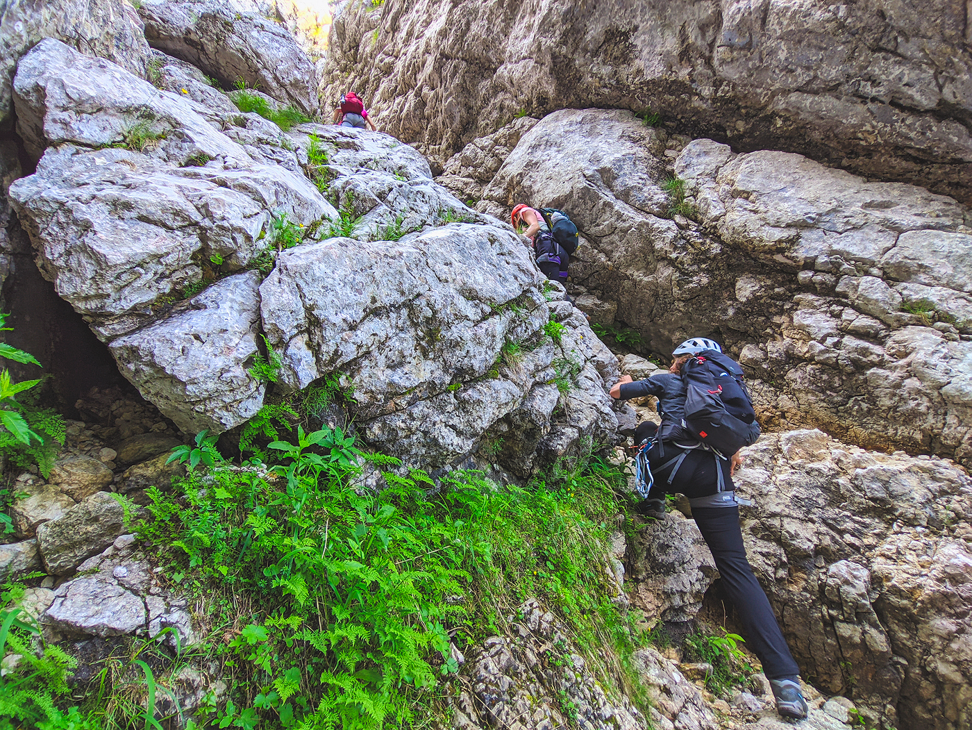 atelier initiere carpatism