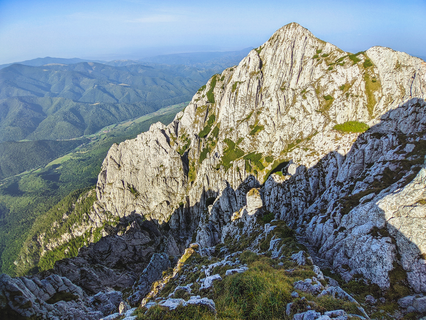 muchia dintre timbale