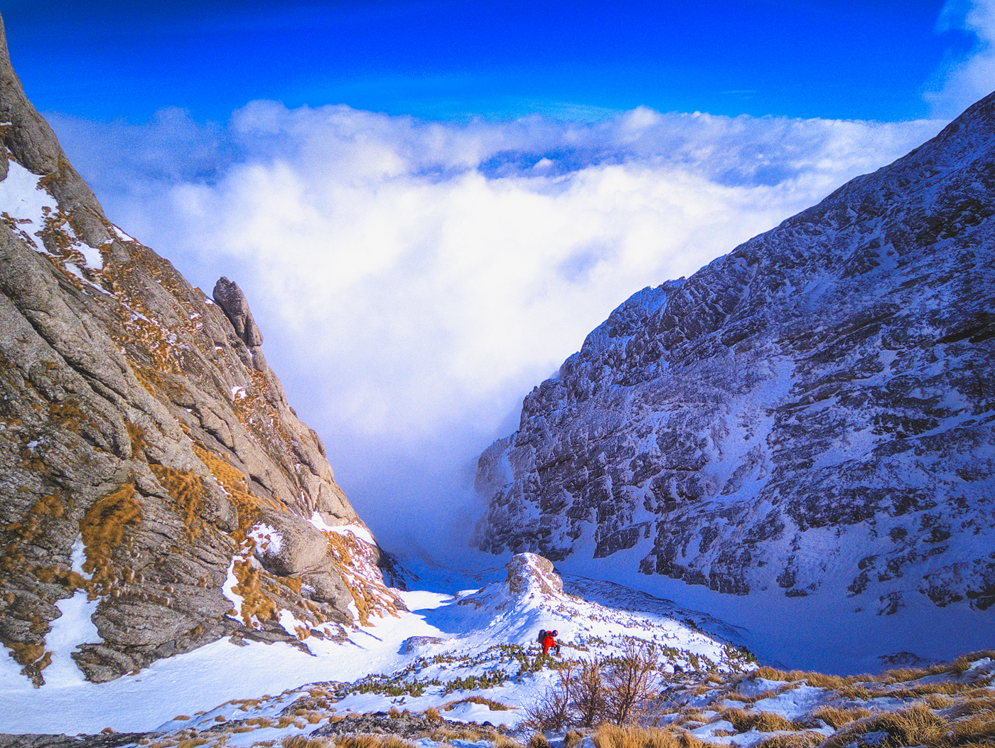 valea costilei iarna