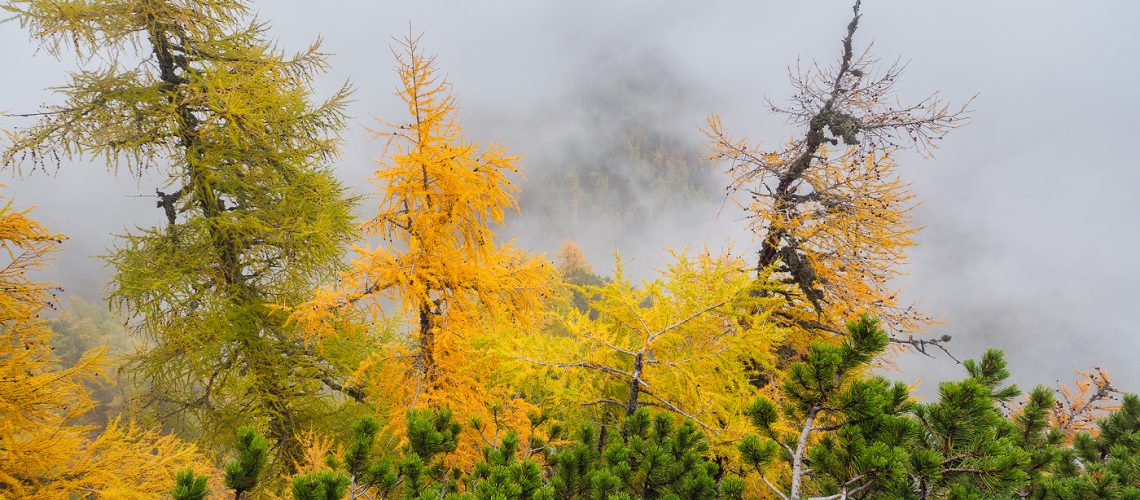 varful picatura bucegi