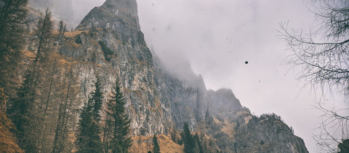 portita caraimanului