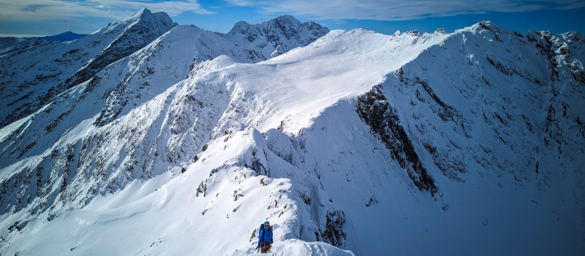 muchia turnului paltinului